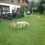 Bed & Breakfast Willa Panorama Spa Ustron
