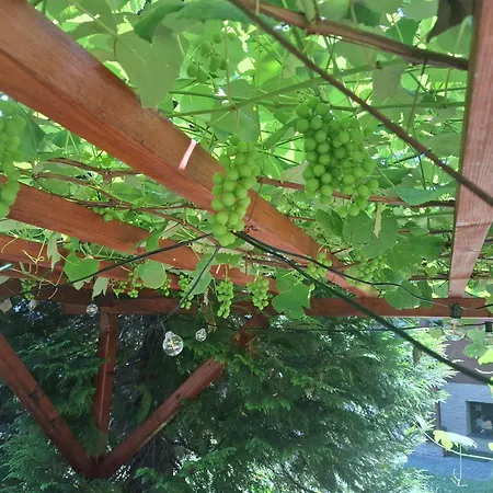 Panorama 住宿加早餐酒店 乌斯特龙