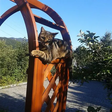 Bed & Breakfast Panorama 4*