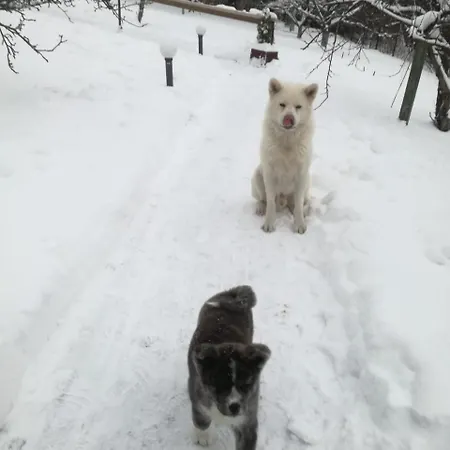 Panorama Bed & Breakfast 4*