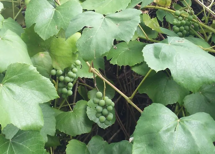 Panorama Frühstückspension Ustron