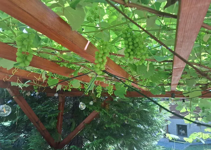 Panorama 住宿加早餐酒店 乌斯特龙