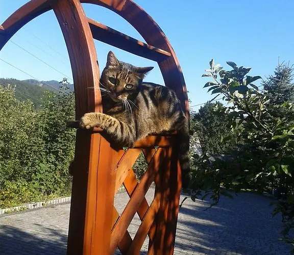 住宿加早餐酒店 Panorama 4*