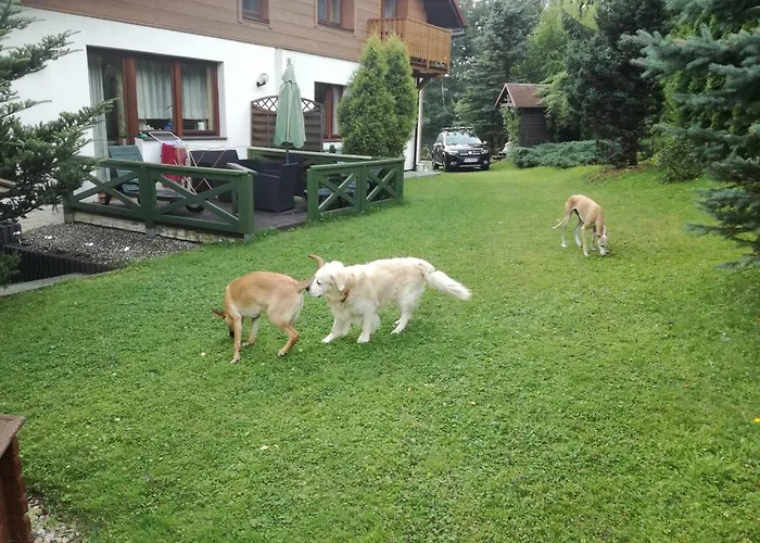 住宿加早餐酒店 Panorama 乌斯特龙