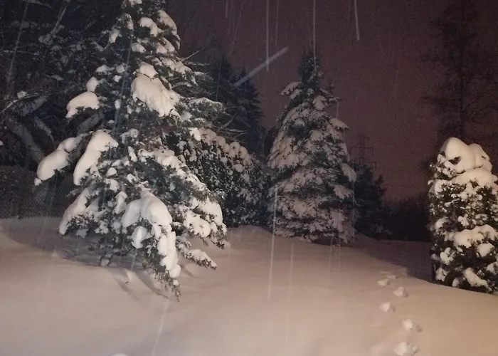 Frühstückspension Panorama