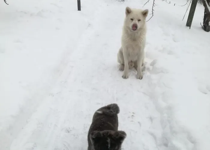 Panorama Frühstückspension 4*