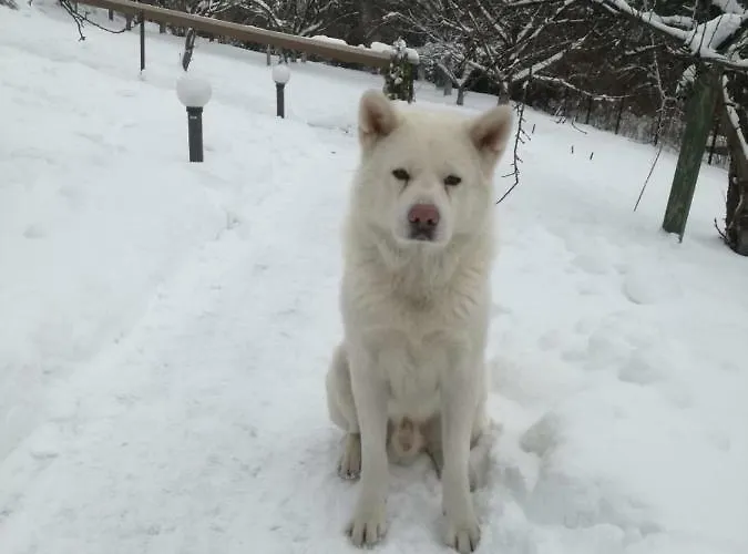 Panorama 4* 乌斯特龙