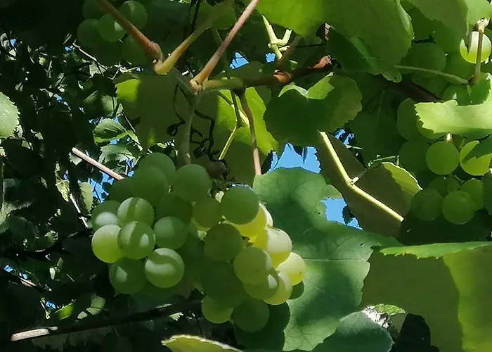 Frühstückspension Panorama Ustron